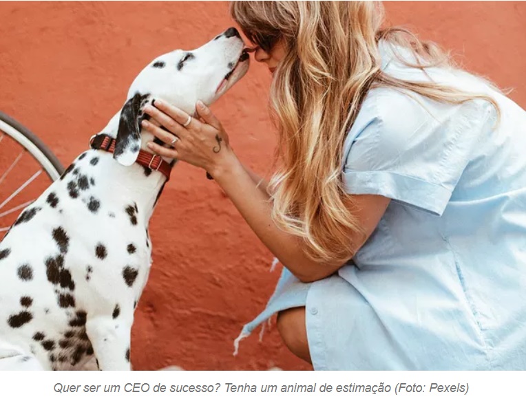 Quer ser um CEO de sucesso