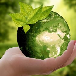 Por Que Se Tornar Uma Empresa Sustentável?