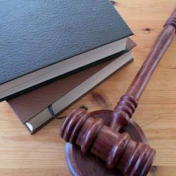 Por Que Você Precisa de uma Assessoria em Licitações?